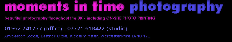 logoheader
